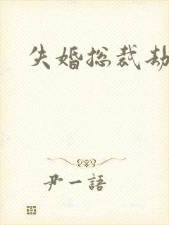 失婚总裁劫前妻