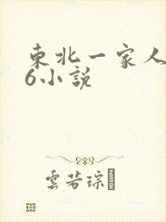 东北一家人1一6小说