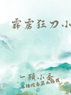 霹雳狂刀小说
