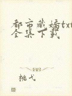 都市藏娇txt全集下载