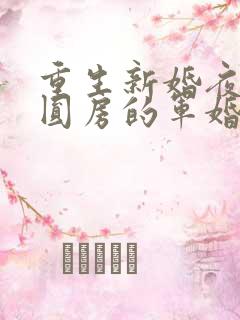 重生新婚夜正在圆房的军婚