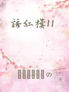 诱红楼11