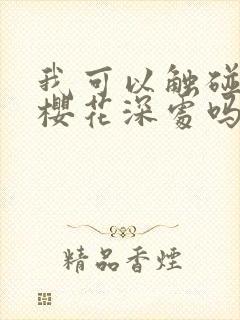 我可以触碰你的樱花深处吗