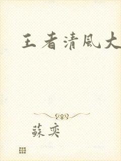 王者清风大结局