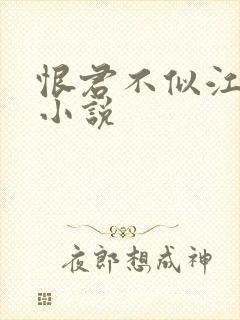 恨君不似江楼月小说