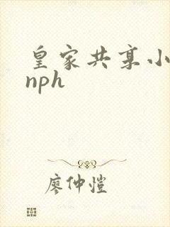 皇家共享小公主nph