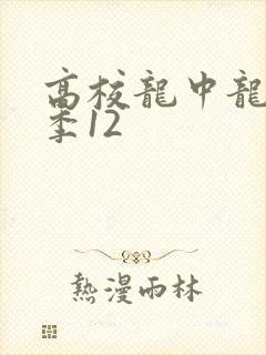 高校龙中龙第二季12