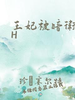 王妃被暗卫肉高H