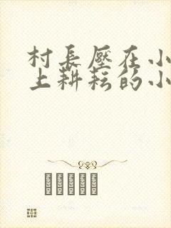 村长压在小娥身上耕耘的小说