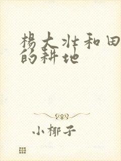 杨大壮和田桂花的耕地