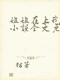 姐姐在上我在下小说全文免费阅读