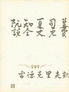 阮知夏司暮寒小说全文免费