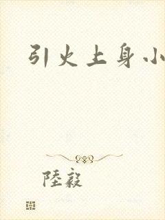 引火上身小说