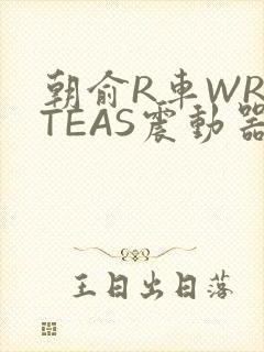 朝俞R车WRITEAS震动器