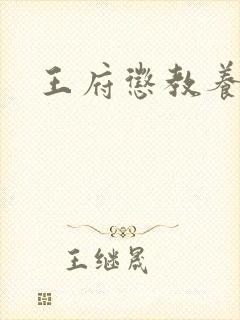 王府惩教养日常