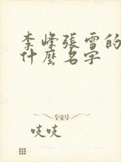 李峰张雪的书叫什么名字