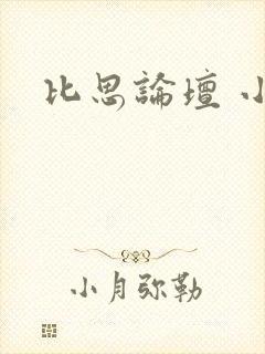 比思论坛 小说