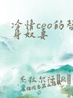 冷情ceo的替身奴妻