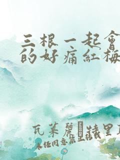 三根一起会坏掉的好痛红梅