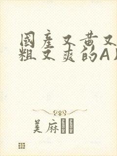 国产又黄又猛又粗又爽的A片小说