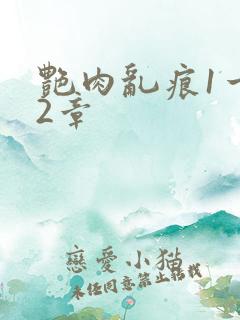 艳肉乱痕1一12章