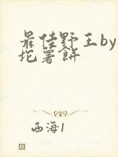 最佳野王by一坨薯饼