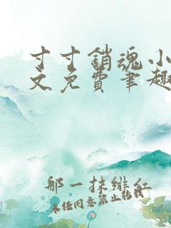 寸寸销魂小说全文免费笔趣阁