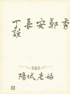 丁长安郑秀兰小说