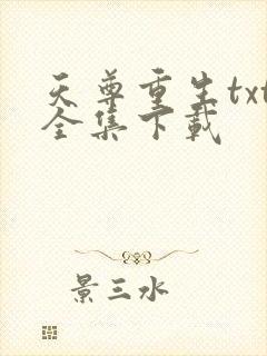 天尊重生txt全集下载