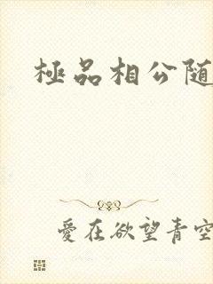 极品相公随风舞