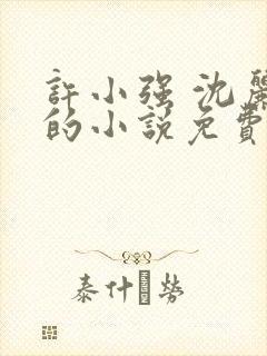 许小强 沈丽娟的小说免费阅读