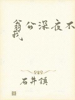 翁公深夜不停要我