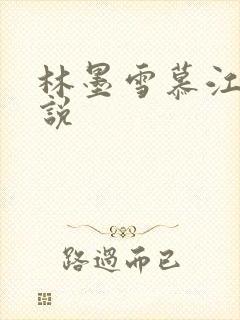 林墨雪慕江行小说