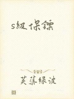 s级保镖