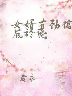 女婿有劲枪枪到底于飞