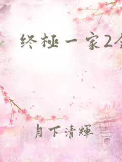 终极一家2全集