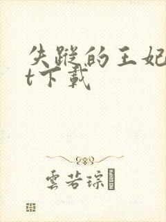 失踪的王妃txt下载