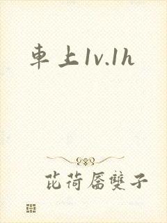 车上1v.1h