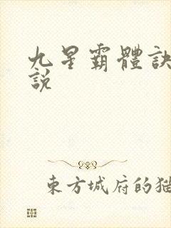 九星霸体诀 小说
