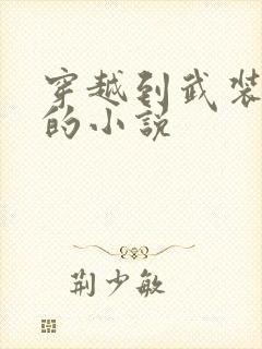 穿越到武装少女的小说