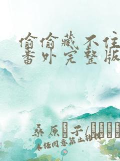 偷偷藏不住新婚番外完整版