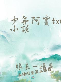 少年阿宾txt小说