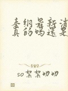 秦纲最新消息是真的吗还是假的