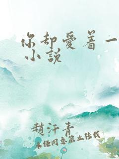 你却爱着一个他 小说