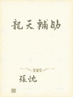 龙天辅助