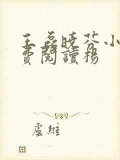 王磊晓芬小说免费阅读杨