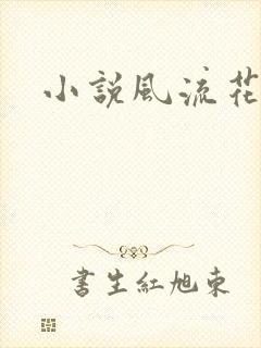 小说风流花少