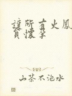 让所有火凤凰队员怀孕