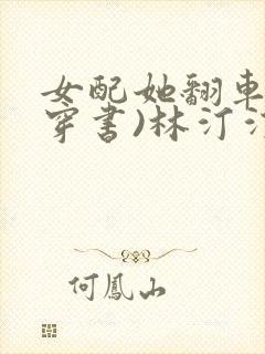 女配她翻车了(穿书)林汀汀