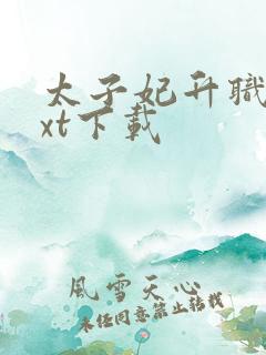 太子妃升职记txt下载